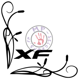 Sticker de vitre roseaux modèle 3 avec DAF XF (la paire)