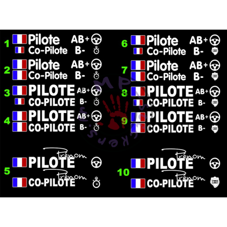 Stickers pilote OU copilote blancs (2 cotés) avec choix des drapeaux
