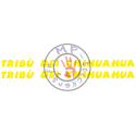 Stickers de casque TRIBU DEI CHIHUAHUA (la paire, une couleur)