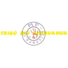 Sticker de casque TRIBU DEI CHIHUAHUA (pièce, une couleur)